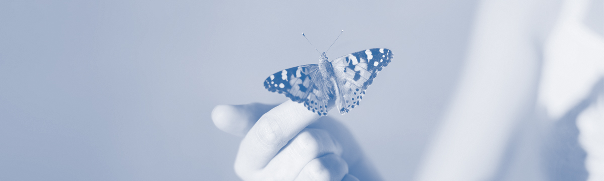 Symbolfoto Schmetterling auf Finger, farbreduziert, bläulich